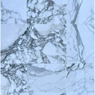 Arabescato Corchia Elite 12X12 Marble Tile with white background and striking gray veining