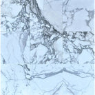White marble tiles with prominent gray veining for Arabescato Corchia Elite 12X12 Marble Tile
