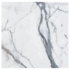 White marble with prominent grey veining in Arabescato Corchia Elite 12X12 Marble Tile
