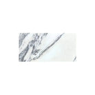 White marble tile with grey veining from Arabescato Corchia Elite 12X24 Marble Tile