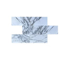 White marble tiles with prominent grey veining for Arabescato Corchia Elite 12X24 Marble Tile