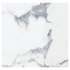 White marble with grey veining in Arabescato Corchia Elite 18X18 Marble Tile