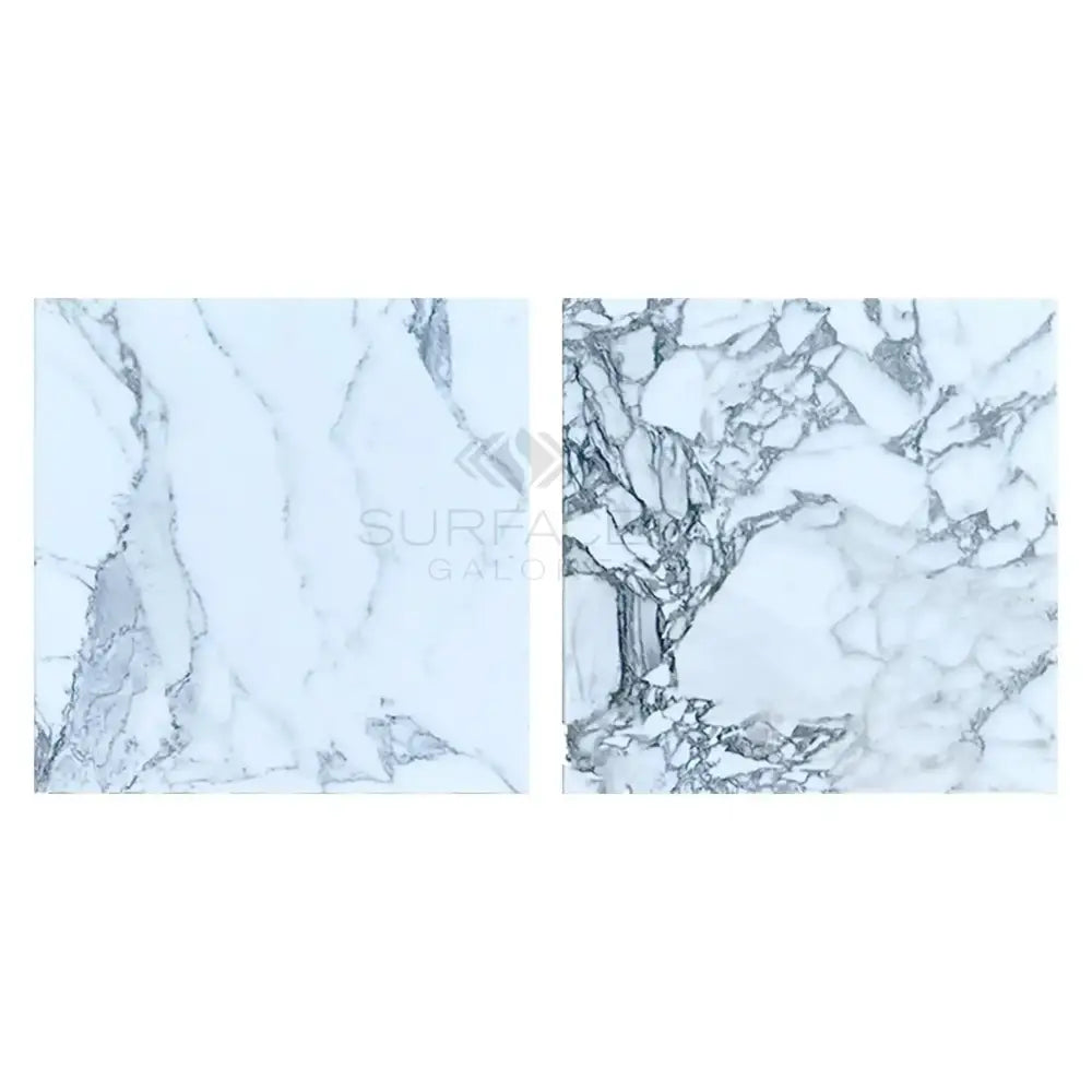 Two white marble samples with grey veining for Arabescato Corchia Elite 18x18 Tile