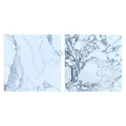 Two white marble samples with grey veining for Arabescato Corchia Elite 18x18 Tile