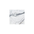 White marble tile with prominent grey veining from Arabescato Corchia Elite 18X18 collection