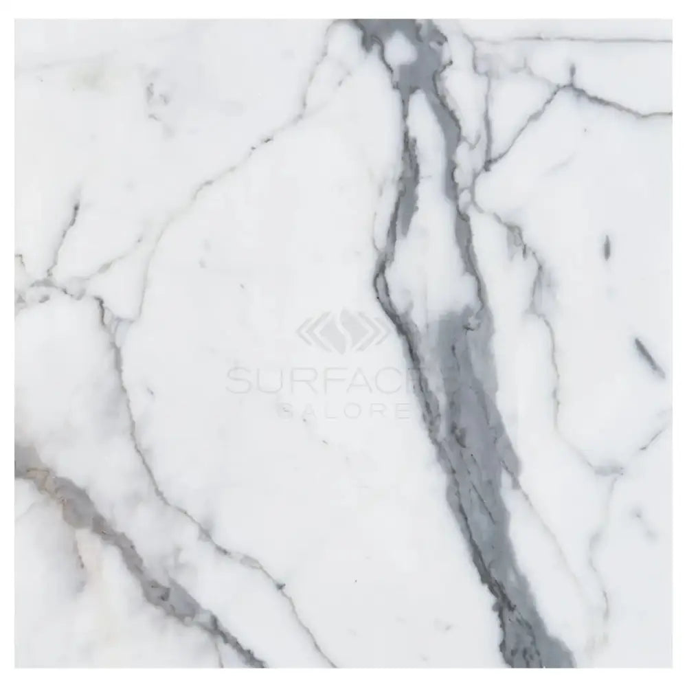 White marble with prominent gray veining in Arabescato Corchia Elite 24X24 Marble Tile