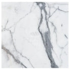 White marble with prominent gray veining in Arabescato Corchia Elite 24X24 Marble Tile