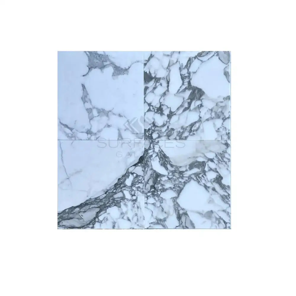 White marble tiles with prominent gray veining in Arabescato Corchia Elite 24X24 Marble Tile