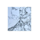 White marble tiles with prominent gray veining in Arabescato Corchia Elite 24X24 Marble Tile