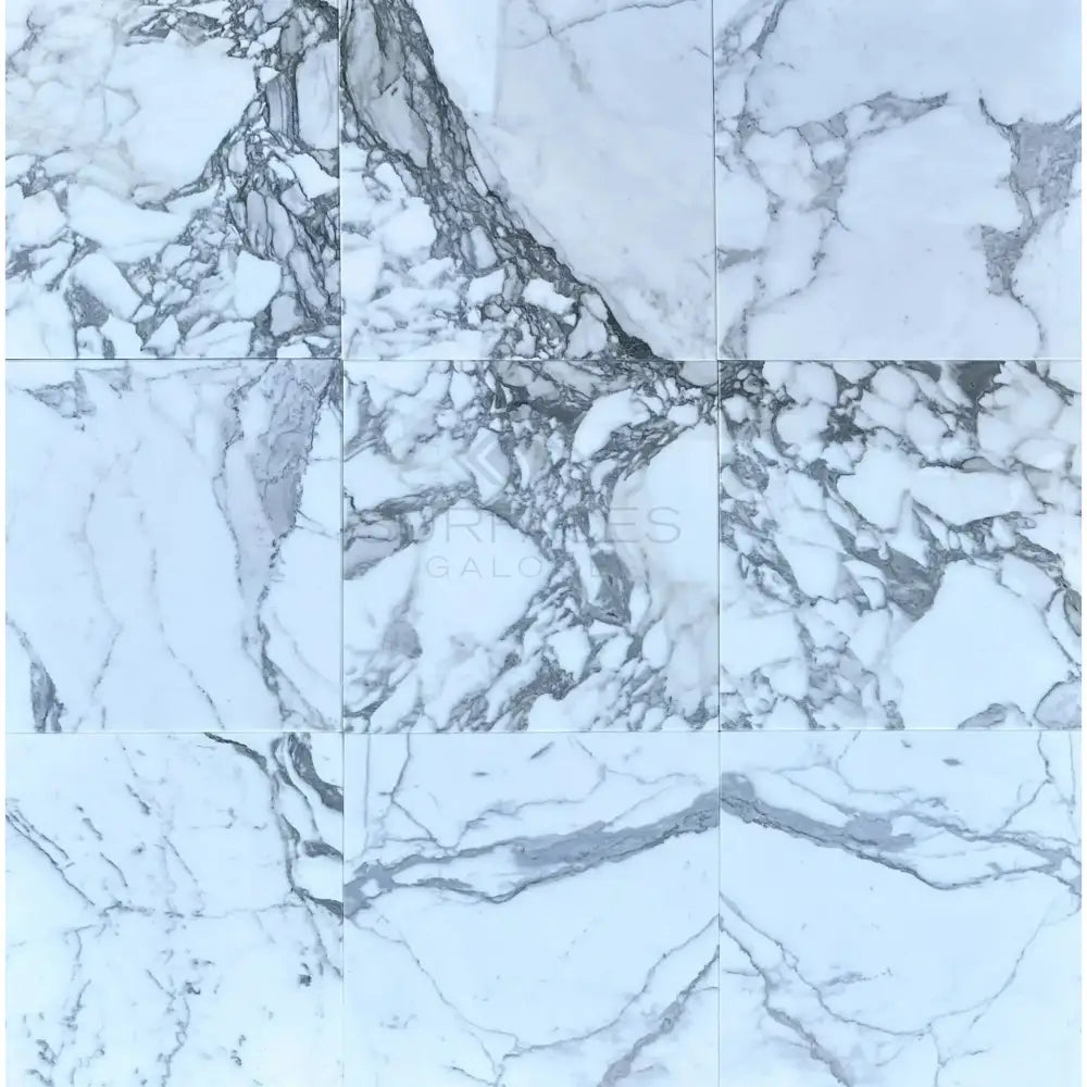 Arabescato Corchia Elite 24X24 marble tile with white background and prominent grey veining