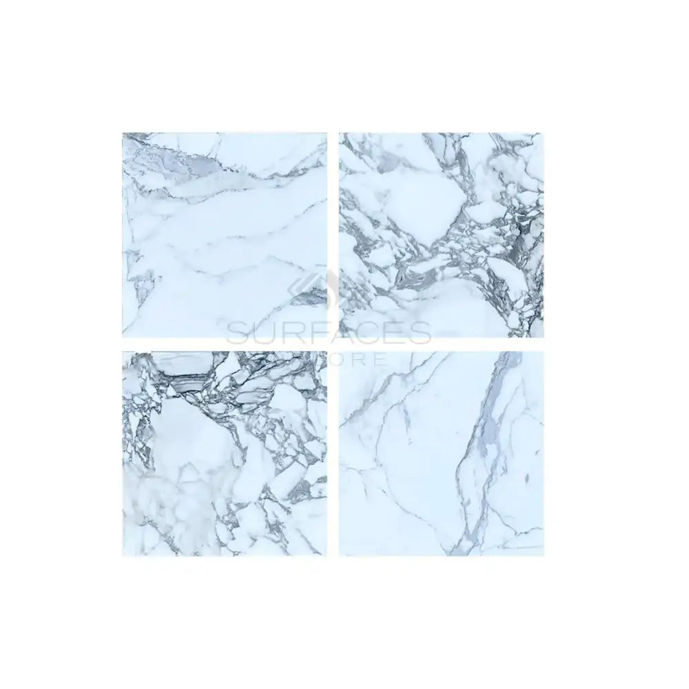 Four white marble samples with grey veining patterns for Arabescato Corchia Elite 24X24 Tile