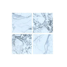 Four white marble samples with grey veining patterns for Arabescato Corchia Elite 24X24 Tile