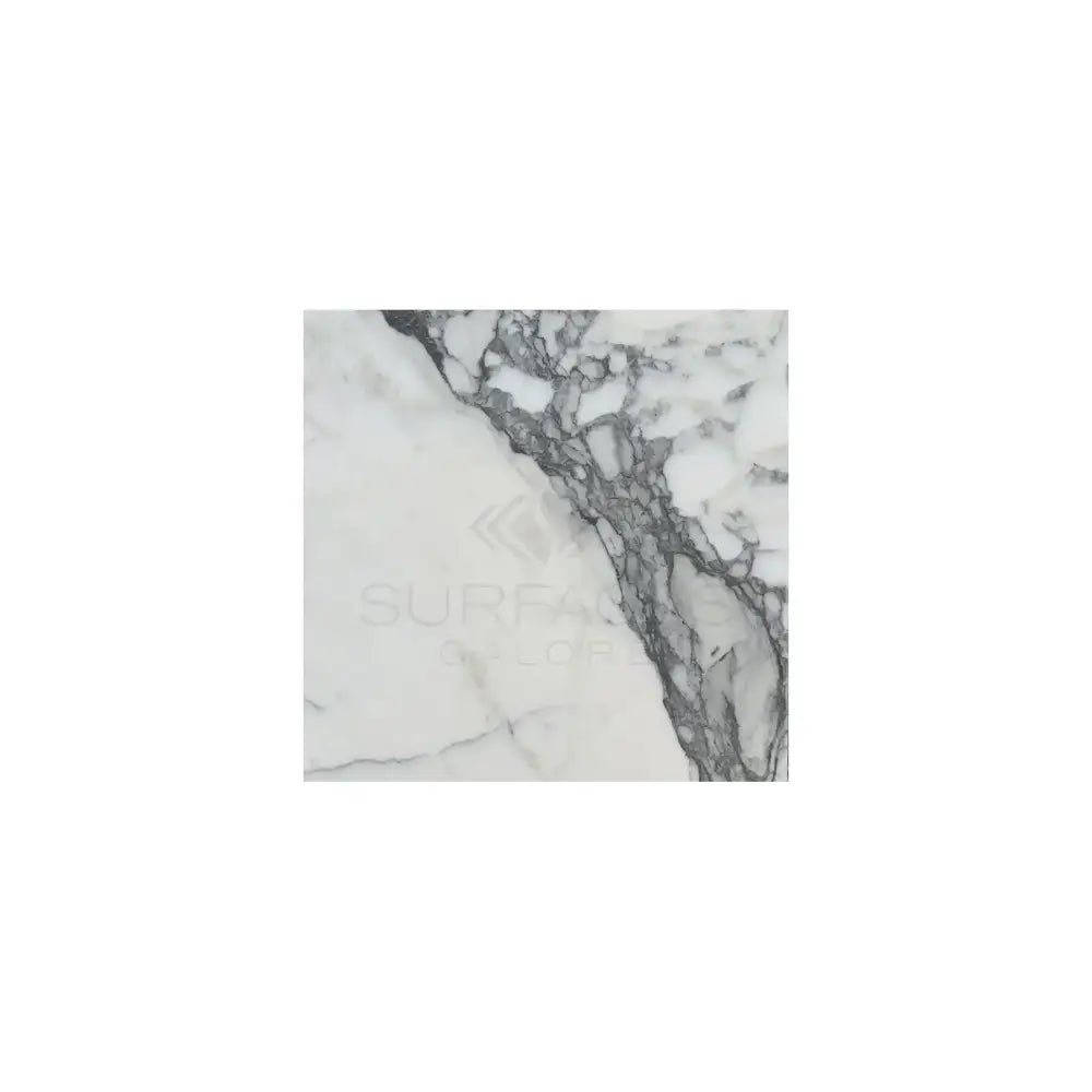 Arabescato Corchia Elite 24X24 marble tile with white background and prominent gray veining