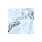 Four white marble tile samples with gray veining for Arabescato Corchia Elite 24X24 marble