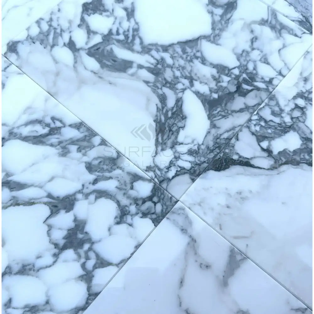 White marble tiles with prominent gray veining in Arabescato Corchia Elite 24X24 Marble Tile