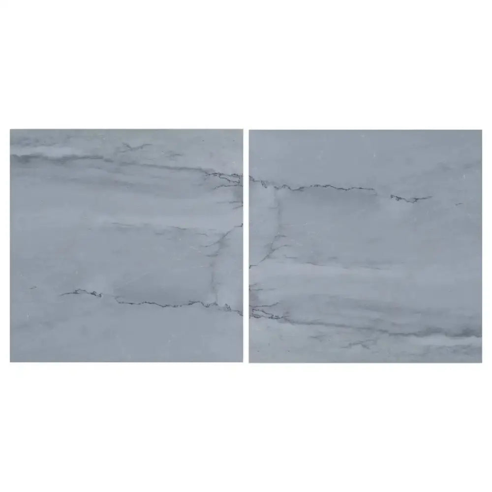 Two gray Bardiglio Prime Imperiale 12x12 marble tiles polished or honed
