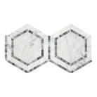 Interlocking Carrara White and Blue-Gray Mosaic Hexagon Marble Tiles
