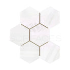 White Hexagon Tile Mosaic from Dolomite Prestige Marble 4-inch Polished or Honed