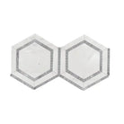Two conjoined hexagonal tiles from Oriental White Aurora and Blue-Gray Marble Mosaic