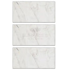 Three marble-patterned tiles from Oriental White Aurora Asian Statuary Marble 18x36