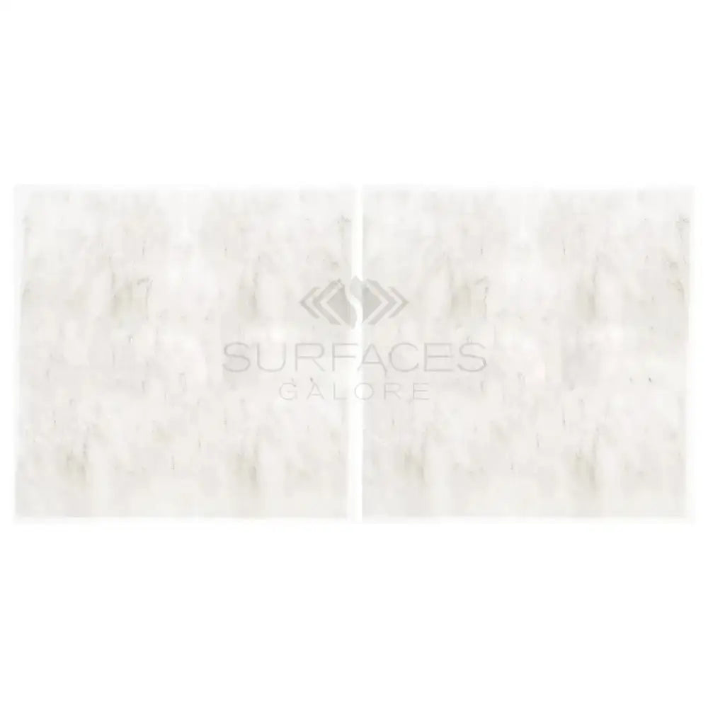 Rectangular patterned tile from Oriental White Aurora Asian Statuary Marble 24x24