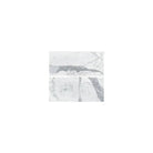 White marble tile from Statuary Statuario White 18X36 Italian Marble collection