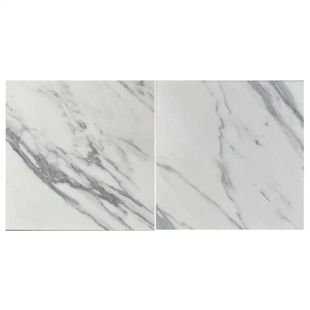 Two marble-patterned tiles from Statuary Statuario White 4X12 Italian Marble
