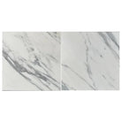 Two marble-patterned tiles from Statuary Statuario White 4X12 Italian Marble