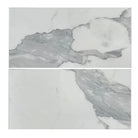 Two marble-patterned tiles from Statuary Statuario White 4X12 Italian Marble collection